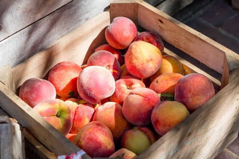 Trabajo en Aconcagua Foods: cuáles son y cómo postular