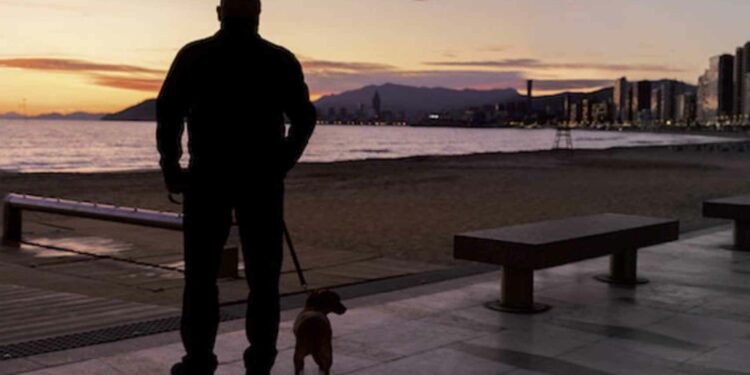 Un hombre pasea a su perro por Benidorm.