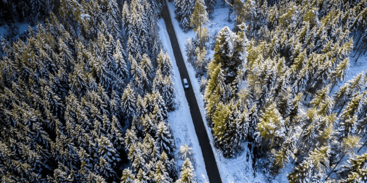 ¿La navidad es una buena temporada hacer viajes?, te decimos