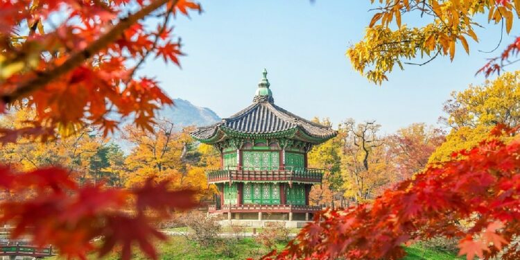 ¿Qué necesito saber antes de reservar un paquete de viaje a Seúl?