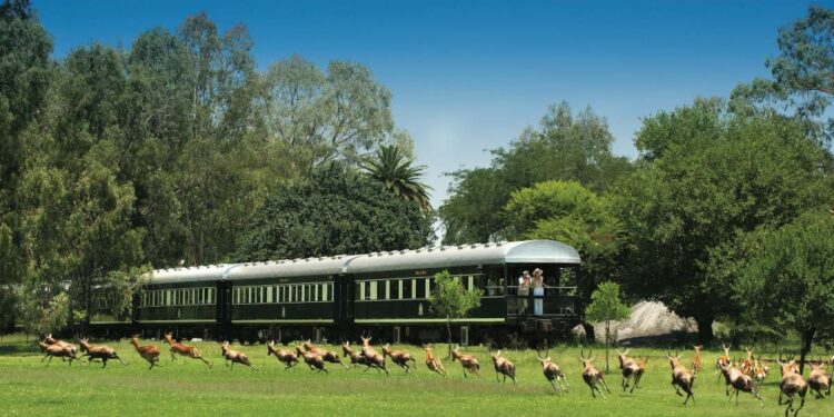 Cruceros sobre raíles: los mejores viajes en tren de lujo, con Atlántida Travel