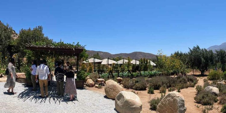 Lugares imperdibles de Ensenada Baja California