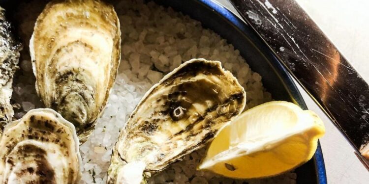 5 'oyster bars' que debes conocer en la CDMX
