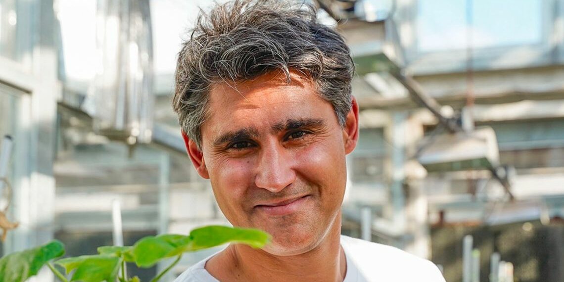 Buenos Aires Times | Argentine meat-packing heir wants to embed crops with animal DNA
