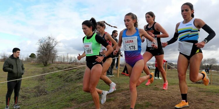 Buenos resultados de Soria en el Cross de Valladolid