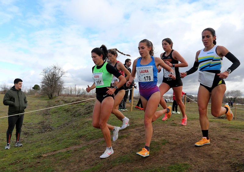 Buenos resultados de Soria en el Cross de Valladolid