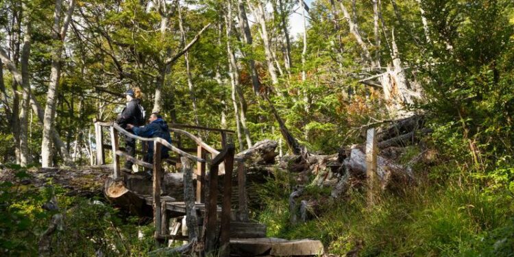 Cómo funciona el buscador turístico de Sernatur