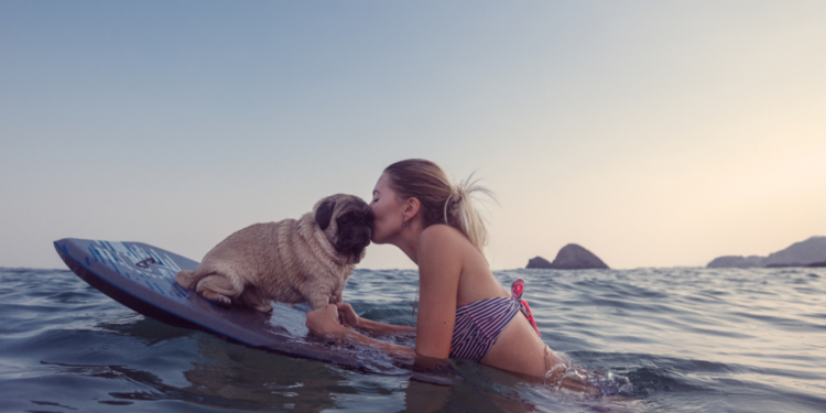 Destinos con animales para los viajeros chilenos
