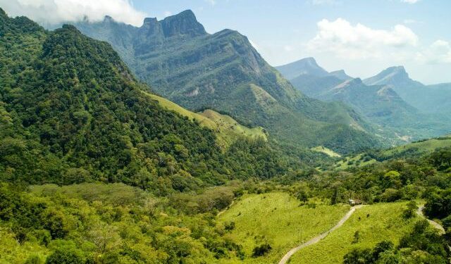 EMPRESA / Viajes Edén es una agencia especializada en viajes a Sri Lanka que recomienda visitar Knuckles