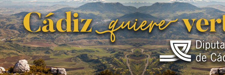 Publicidad Ai