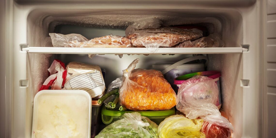 El mercado de alimentos congelados y sus perspectivas