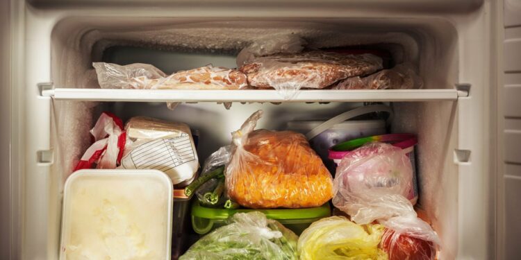 El mercado de alimentos congelados y sus perspectivas