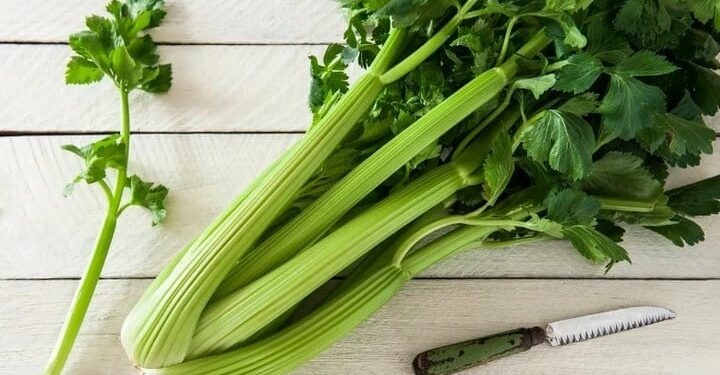 El apio es rico en antioxidantes fitonutrientes que contienen propiedades antiinflamatorias.