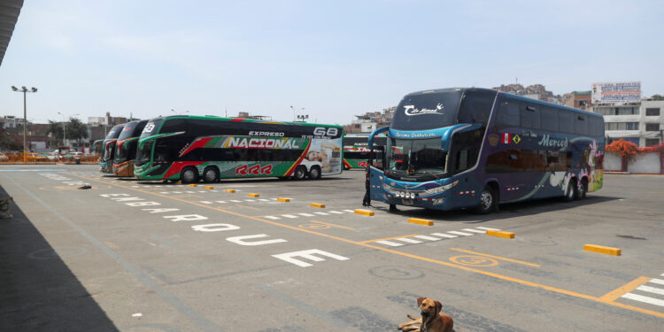 Buses interprovinciales