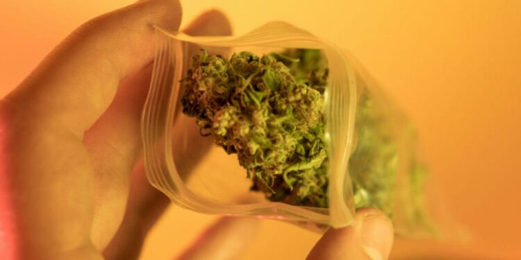 Expulsan pareja de un crucero por presuntamente fumar marihuana