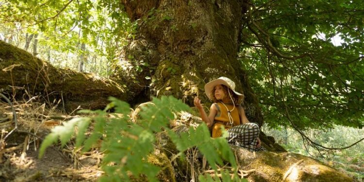 Extremadura, un destino turístico que apuesta por la sostenibilidad y la innovación