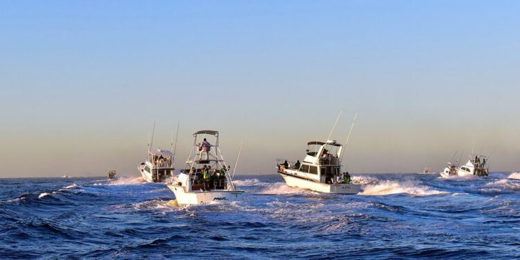 Fonmar planea la siguiente temporada de Fishing in the Five