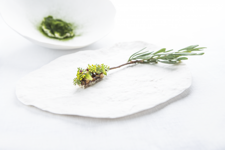 Otra de las propuestas gastronómicas del chef gaditano Ángel León