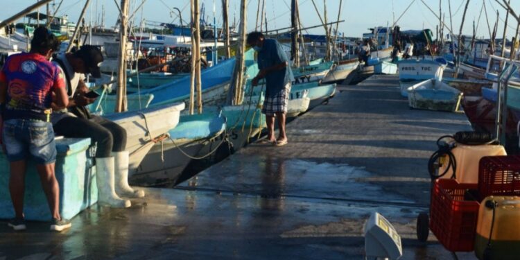 Frente Frío 'paraliza' pesca en Progreso