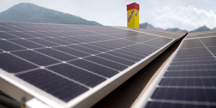 Idilia Foods factura 186 millones, un 4% más, y duplica el parque solar de su fábrica de Parets