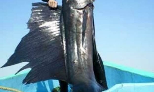 Aguirrezabala con un ejemplar. /