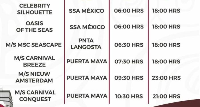 Jornada de Seis Cruceros en Cozumel - Diario Cambio 22