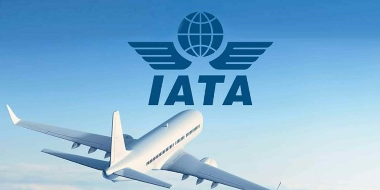 Lanzan nueva interfaz de programación de aplicaciones para IATA - Noticias de turismo