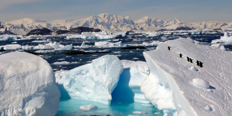 Las siete maravillas del mundo en 2023
| Traveler