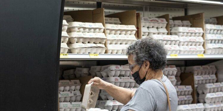 Los altos precios de los huevos deben investigarse, dice un grupo agrícola de EE.UU.