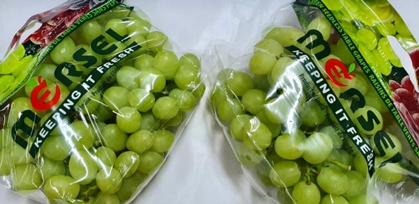 "Los volúmenes de exportación de uva empezarán a crecer a partir de la semana 6"