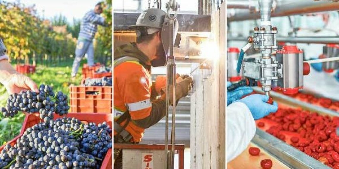 Nuevo programa de Corfo pone fichas en construcción, vinos y alimentos