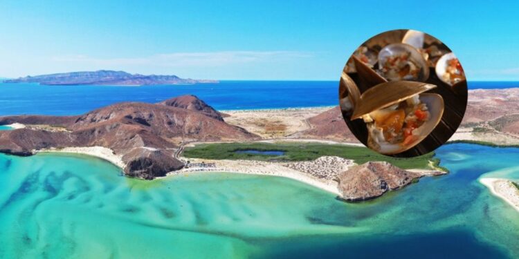 Qué platillos probar durante tu viaje por Baja California Sur