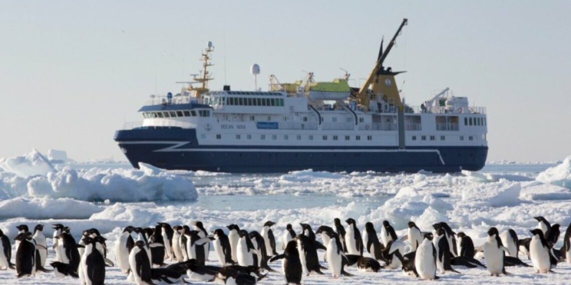 Revisa cómo concursar por una expedición a la Antártica