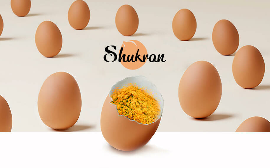 Shukran Foods lanza una alternativa al huevo 100% vegana