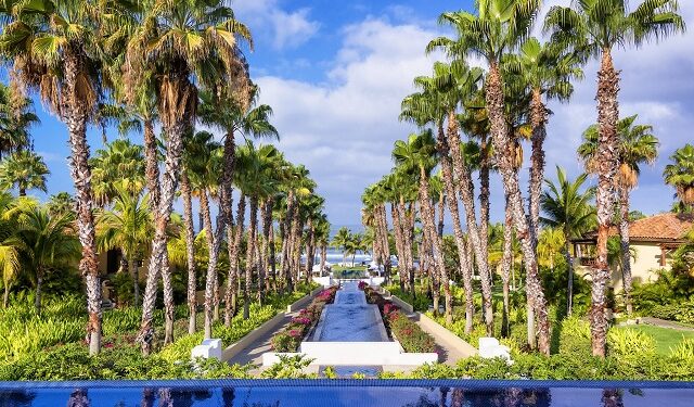 St. Regis Punta Mita Resort ficha a ex Four Seasons como gerente