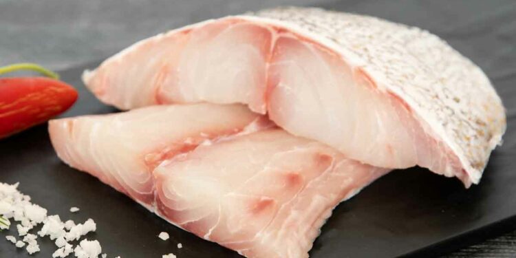Startup Israelí Logra Financiamiento Para Avanzar En El Desarrollo De Pescados Bioimpresos En 3D Con Carne Cultivada A Partir De Células