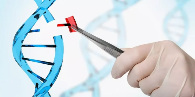 La técnica CRISPR ha sido reconocida con el Nobel de Química 2020.