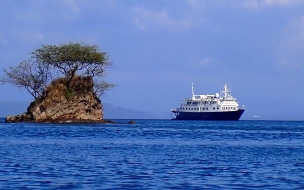 UnCruise Adventures anuncia ofertas de temporada Wave