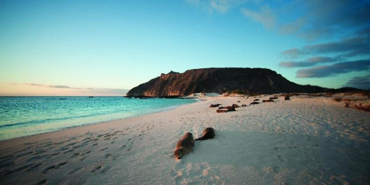 Una tarjeta de control de tránsito es imprescindible para viajar a Galápagos, ¿qué otros requisitos hay que cumplir? | Ecuador | Noticias