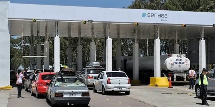 Viajes: Cómo prevenir el ingreso de las plagas chinche apestosa y chinche pintada