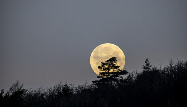 La Luna del Lobo alcanzará su máximo brillo el 7 de enero a las 0:08 horas