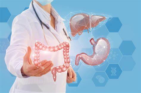 Inicia el año con una buena salud digestiva