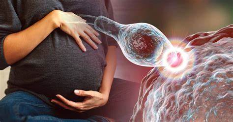 Fertilidad, plan familiar y la mujer moderna: el poder de decisión de miles de mujeres mexicanas.