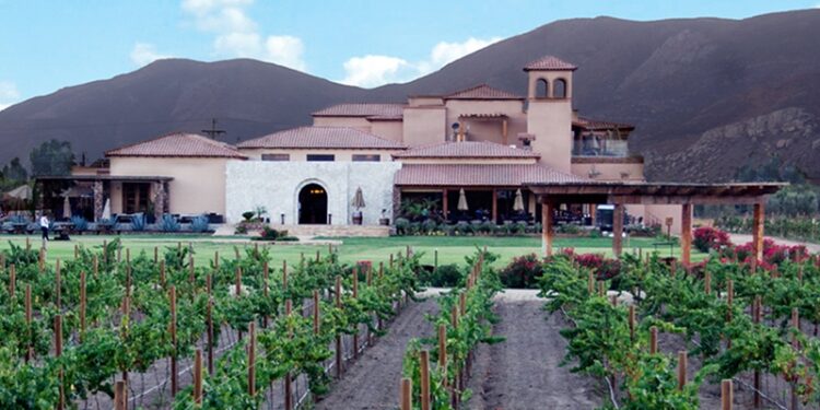 El Cielo Valle de Guadalupe te sugiere tamales y vino mexicano para celebrar el Día de La Candelaria 
