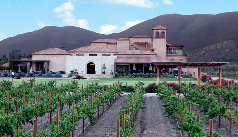 El Cielo Valle de Guadalupe te sugiere tamales y vino mexicano para celebrar el Día de La Candelaria 