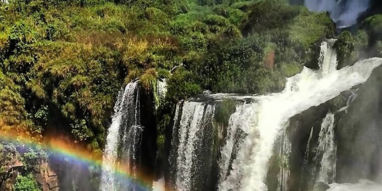 cataratas del Iguazú
