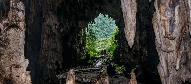 Parque Nacional Tingo Maria en Perú. (Foto: Green Destinations)