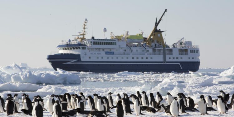 Empresa regala una expedición a la Antártica para conocer la fauna polar – G5noticias