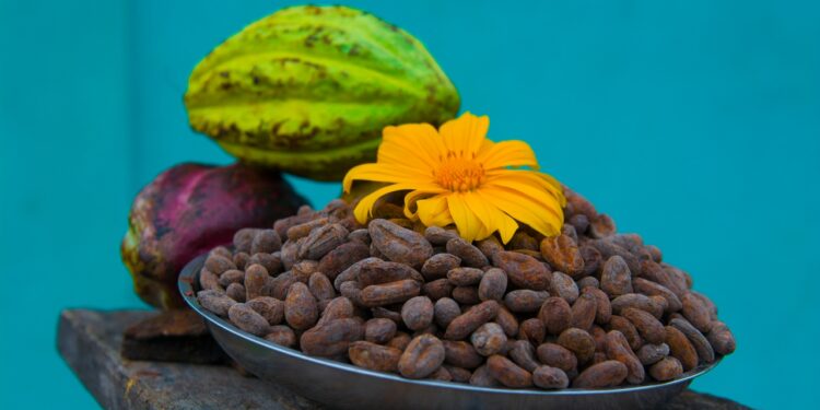 ¿Eres de café o de chocolate? Si no te decides tu destino es Centroamérica
