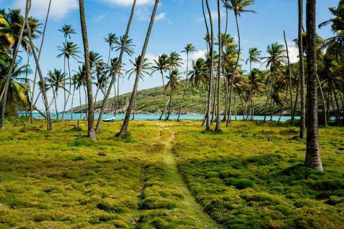 Explora Journeys presenta el programa de viajes de otoño-invierno del Explora I